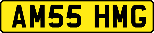 AM55HMG