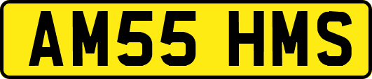 AM55HMS