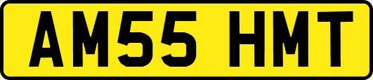AM55HMT