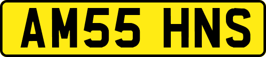 AM55HNS