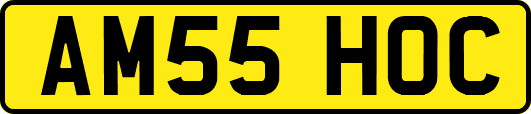 AM55HOC
