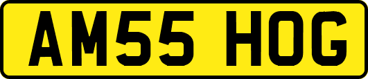 AM55HOG