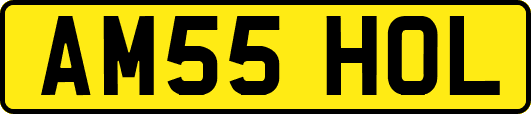 AM55HOL