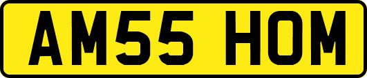 AM55HOM