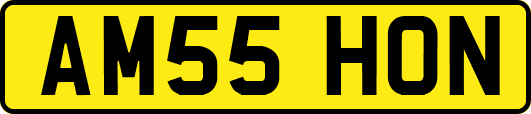 AM55HON