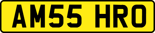 AM55HRO