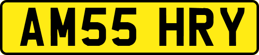 AM55HRY