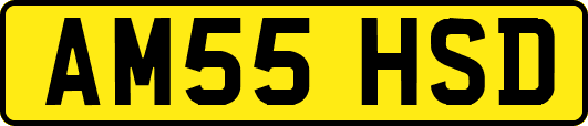 AM55HSD