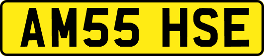 AM55HSE