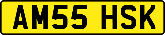 AM55HSK