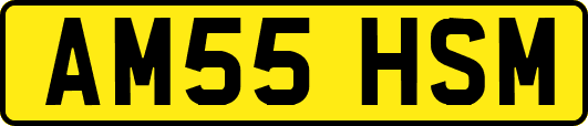 AM55HSM