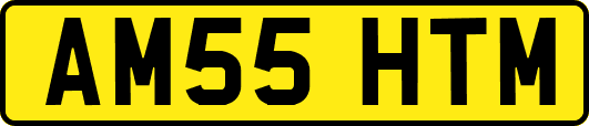 AM55HTM