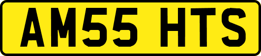AM55HTS