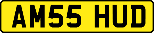 AM55HUD