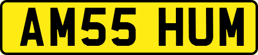 AM55HUM