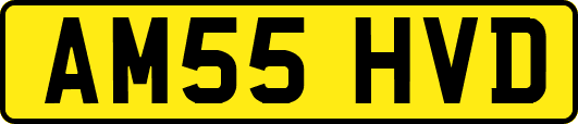 AM55HVD