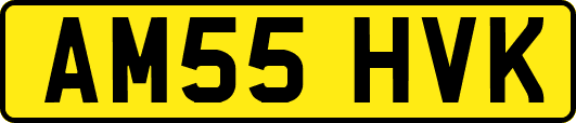 AM55HVK