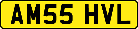 AM55HVL