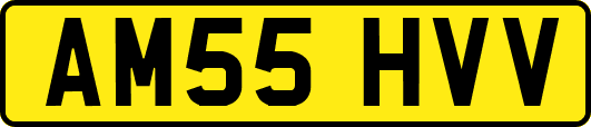 AM55HVV