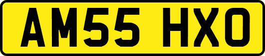 AM55HXO