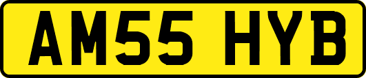 AM55HYB