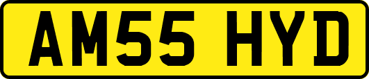 AM55HYD