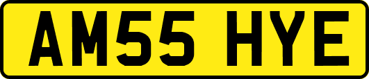 AM55HYE