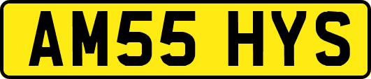 AM55HYS