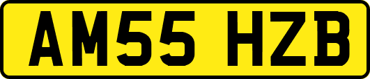 AM55HZB