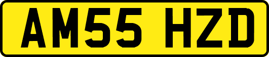 AM55HZD
