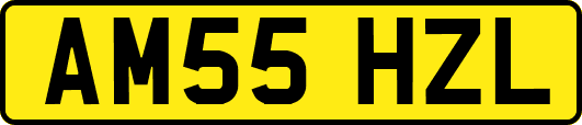 AM55HZL