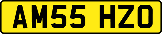 AM55HZO