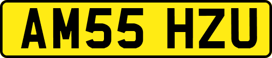 AM55HZU