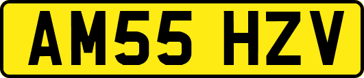 AM55HZV