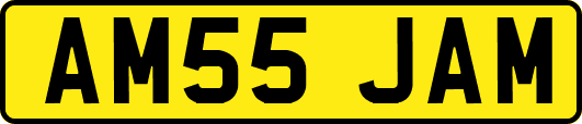 AM55JAM