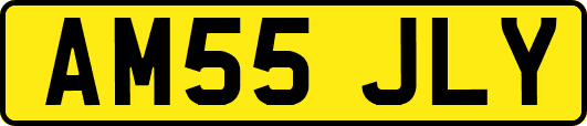 AM55JLY