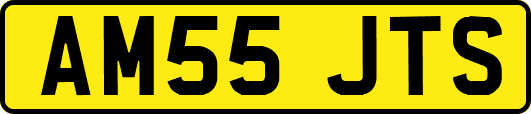 AM55JTS