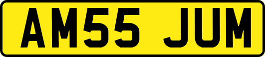 AM55JUM