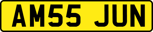 AM55JUN