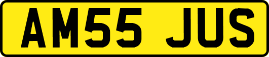 AM55JUS