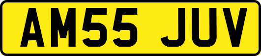 AM55JUV