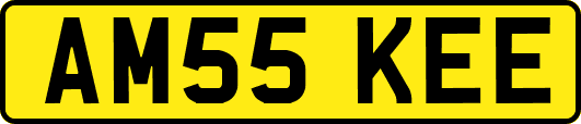 AM55KEE