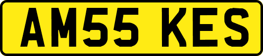 AM55KES