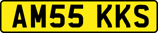 AM55KKS