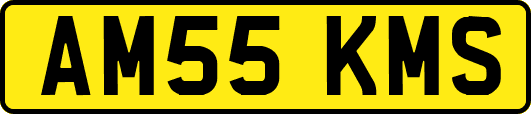 AM55KMS
