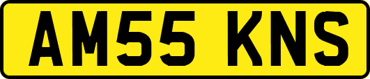 AM55KNS