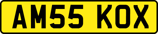 AM55KOX