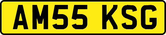 AM55KSG