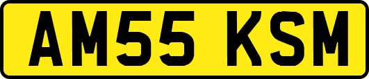 AM55KSM