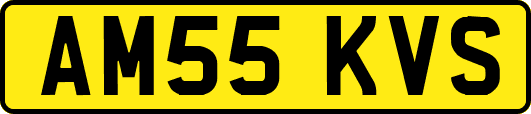AM55KVS